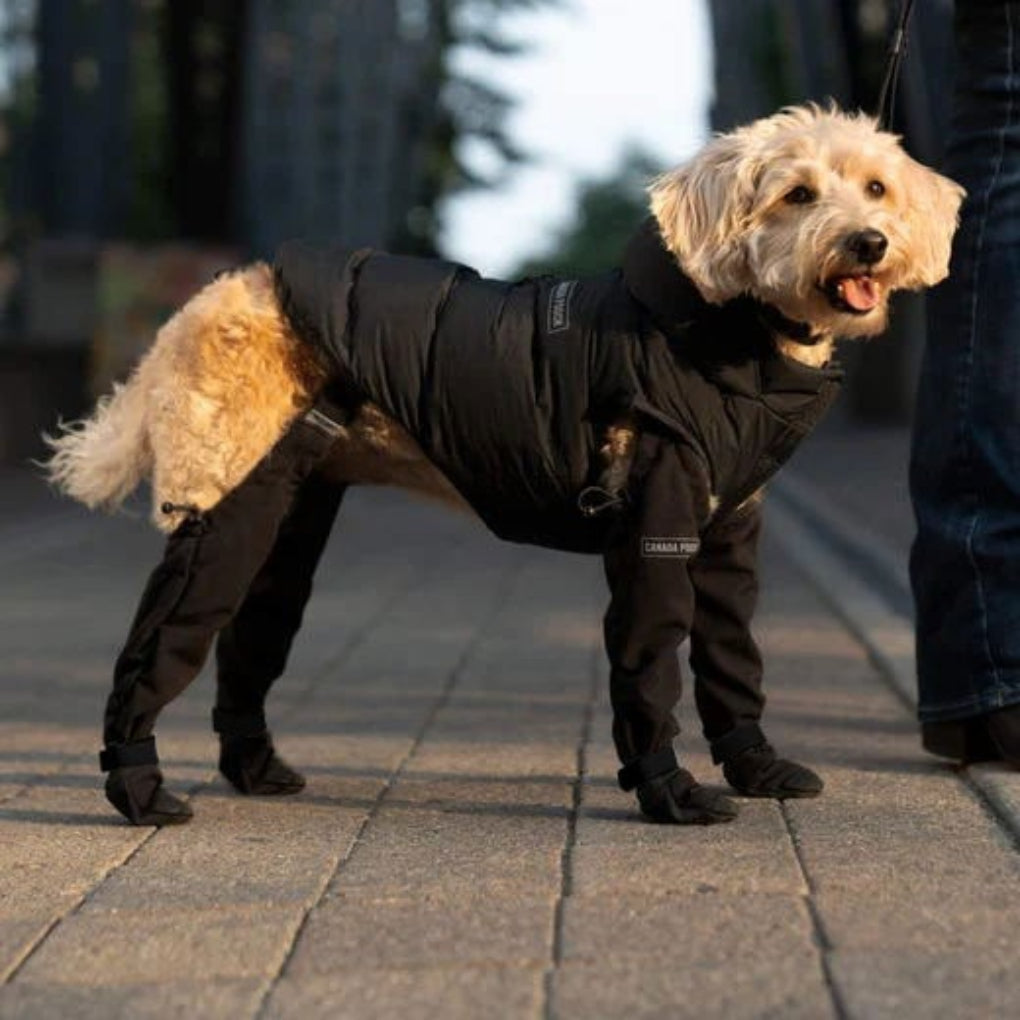 Durable Dog Boots for All Weather Protection – Waterproof Dog Shoes for Snow, Hiking, and Walking-4