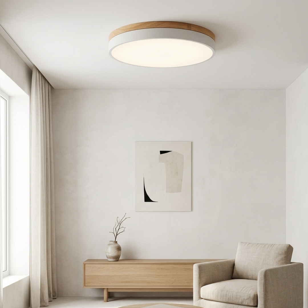 Rund skive-loftlampe – flad, indbygget lampe