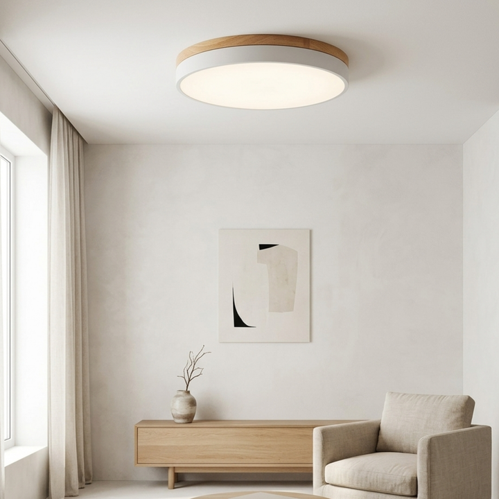 Rund skive-loftlampe – flad, indbygget lampe