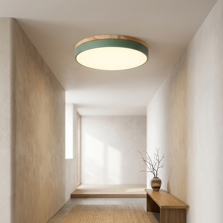 Rund skive-loftlampe – flad, indbygget lampe