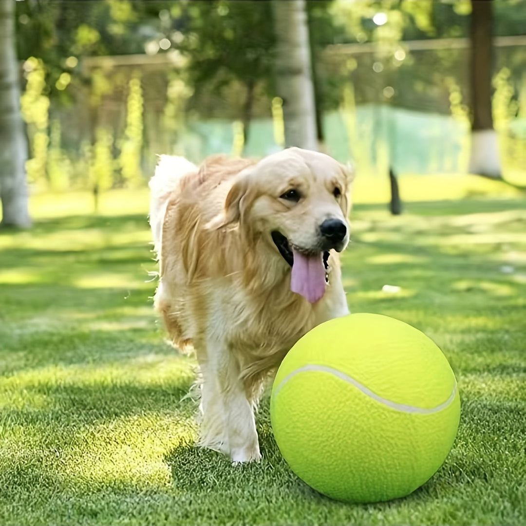 Ekstra holdbar tennisbold til store hunde – ideel til leg og udendørsaktiviteter