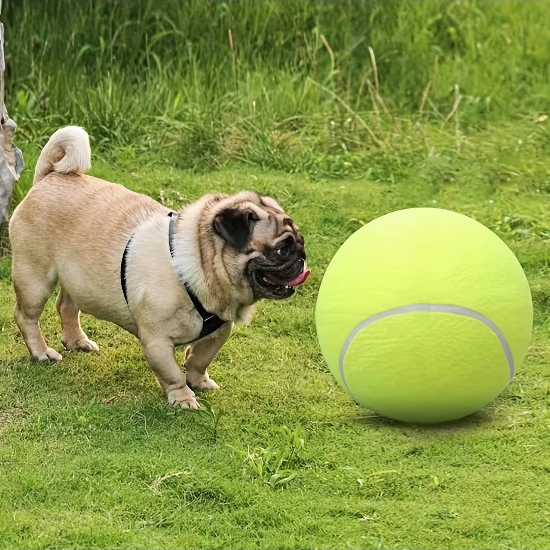 Ekstra holdbar tennisbold til store hunde – ideel til leg og udendørsaktiviteter