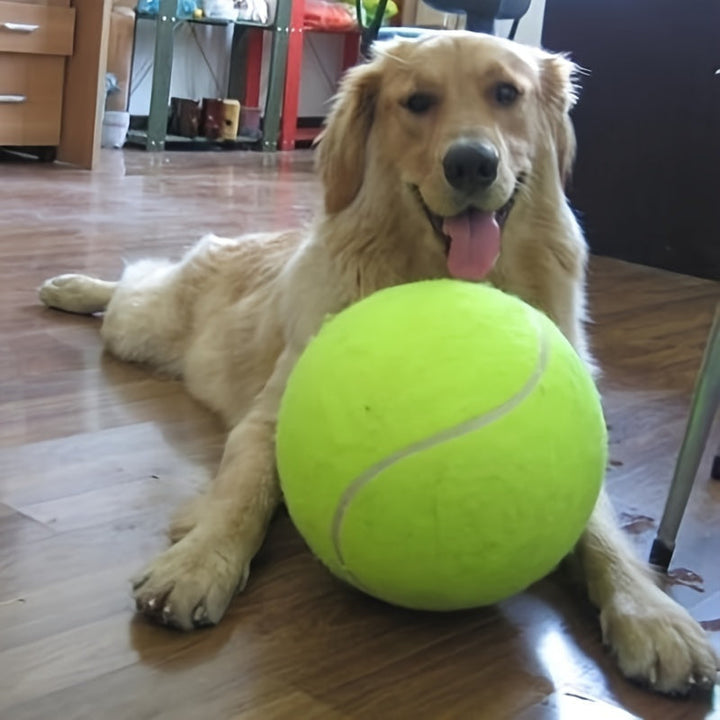 Ekstra holdbar tennisbold til store hunde – ideel til leg og udendørsaktiviteter