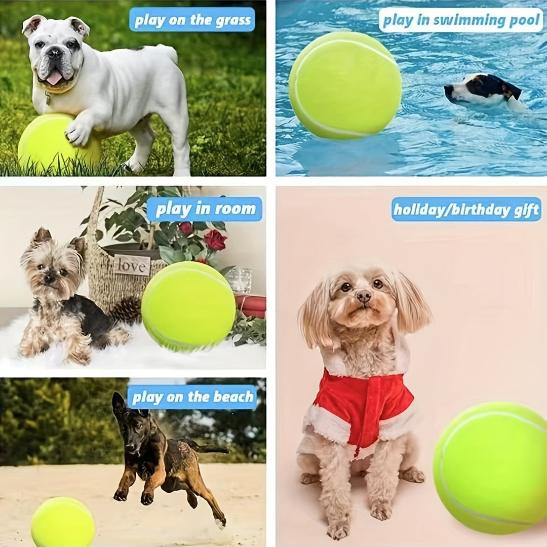 Ekstra holdbar tennisbold til store hunde – ideel til leg og udendørsaktiviteter