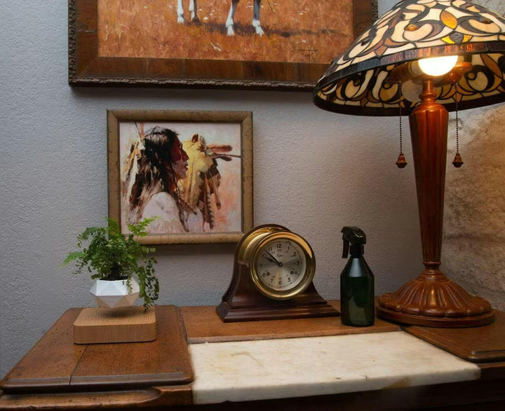 Liva svævende plantestander med magnetisk levitation