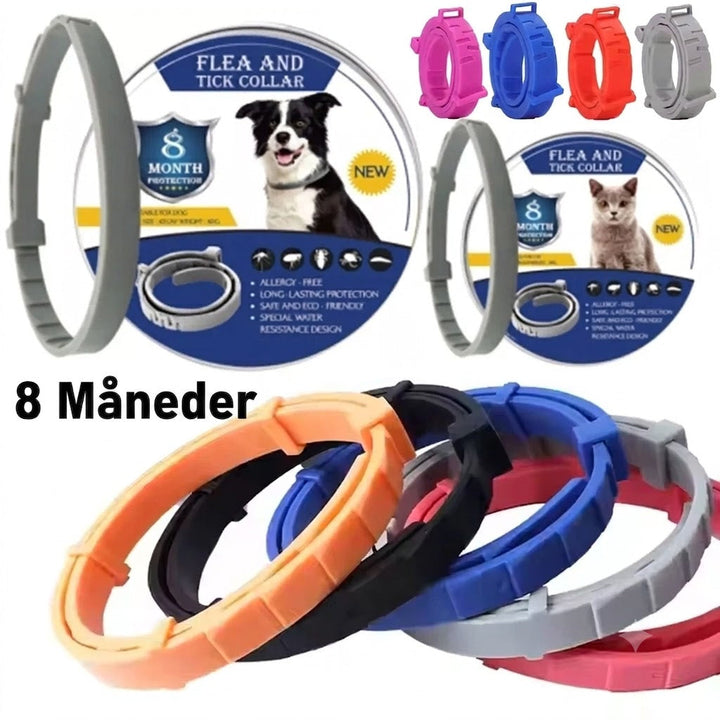 https://cdn.shopify.com/s/files/1/0575/0731/5784/files/1_55969057-811c-44bf-9aea-11e2945806fb.jpg?v=1781090594