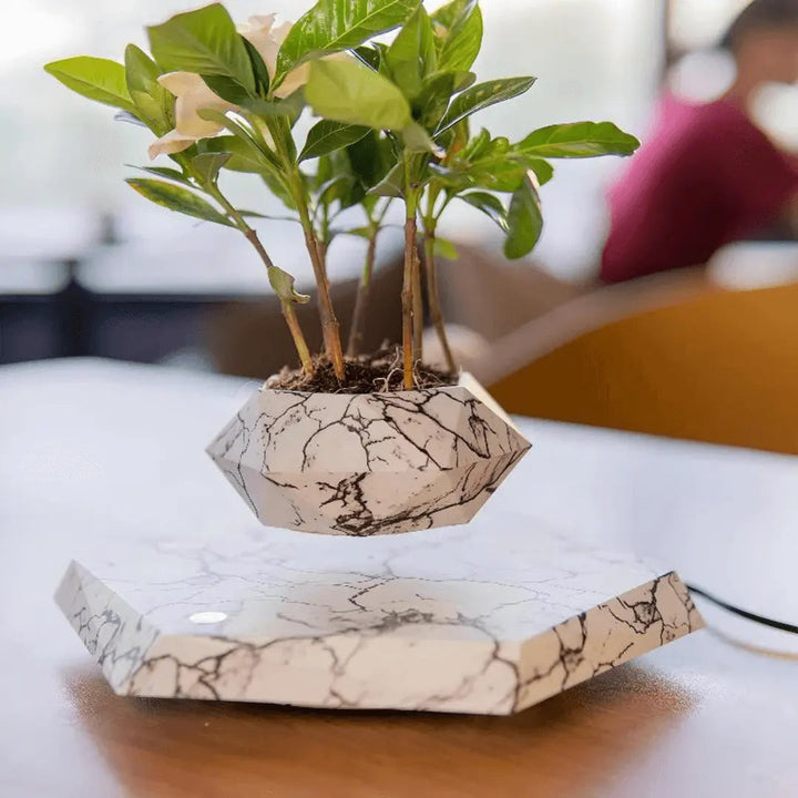 Liva svævende plantestander med magnetisk levitation
