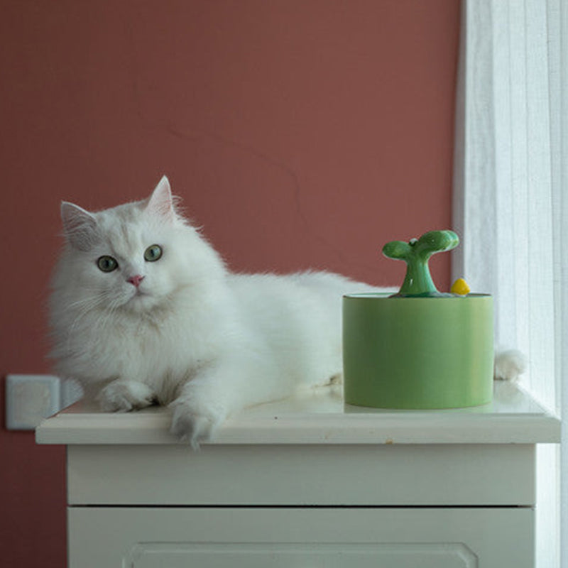 Kattefontæne – SpringFlow
