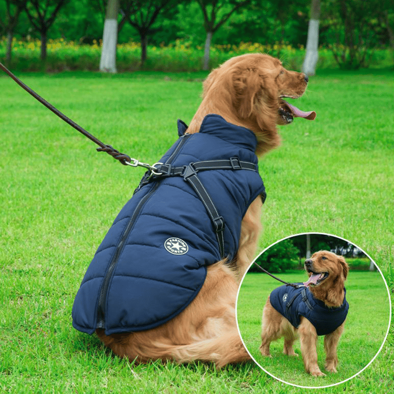 PupGuard - Vinterjakke til hunde med sele