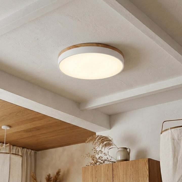 Rund skive-loftlampe – flad, indbygget lampe