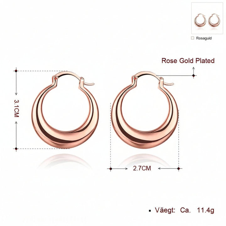 Fashionable Exaggerated Hoop Earrings