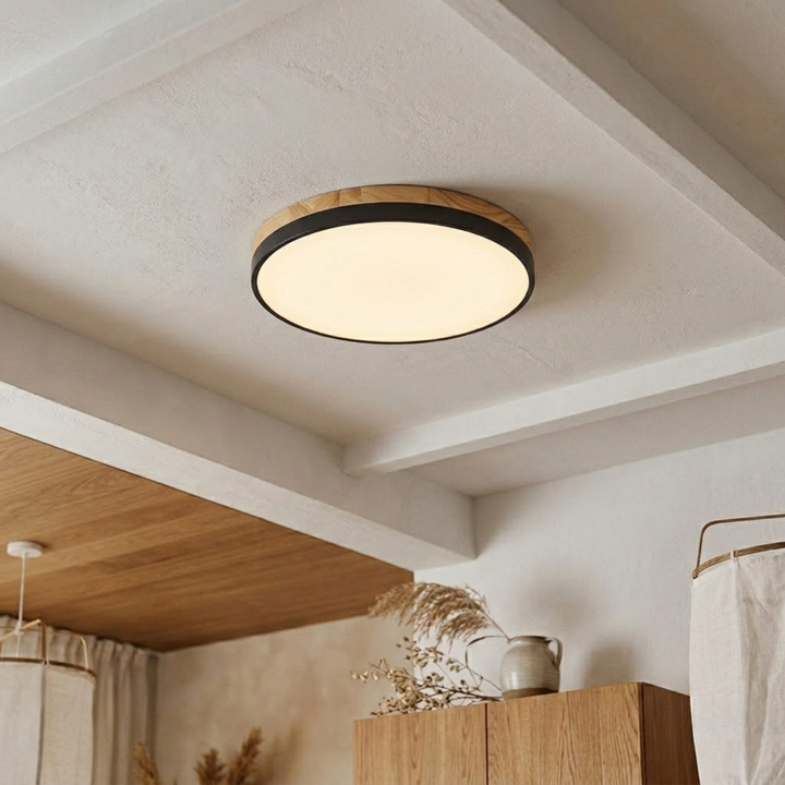 Rund skive-loftlampe – flad, indbygget lampe