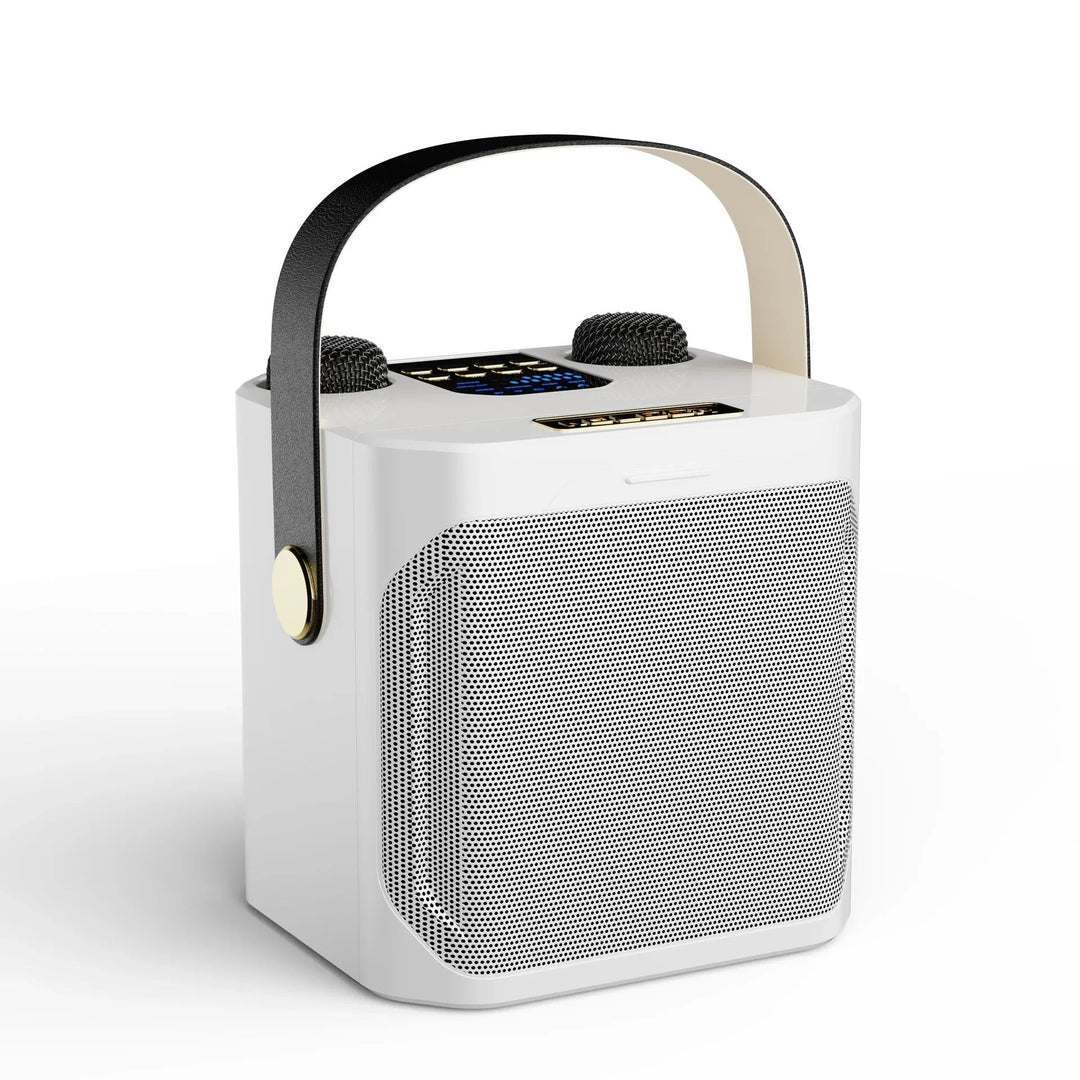 Kraftfuld Bluetooth-karaokehøjttaler – bærbar trådløs subwoofer med 360° surroundlyd og dobbelt mikrofon