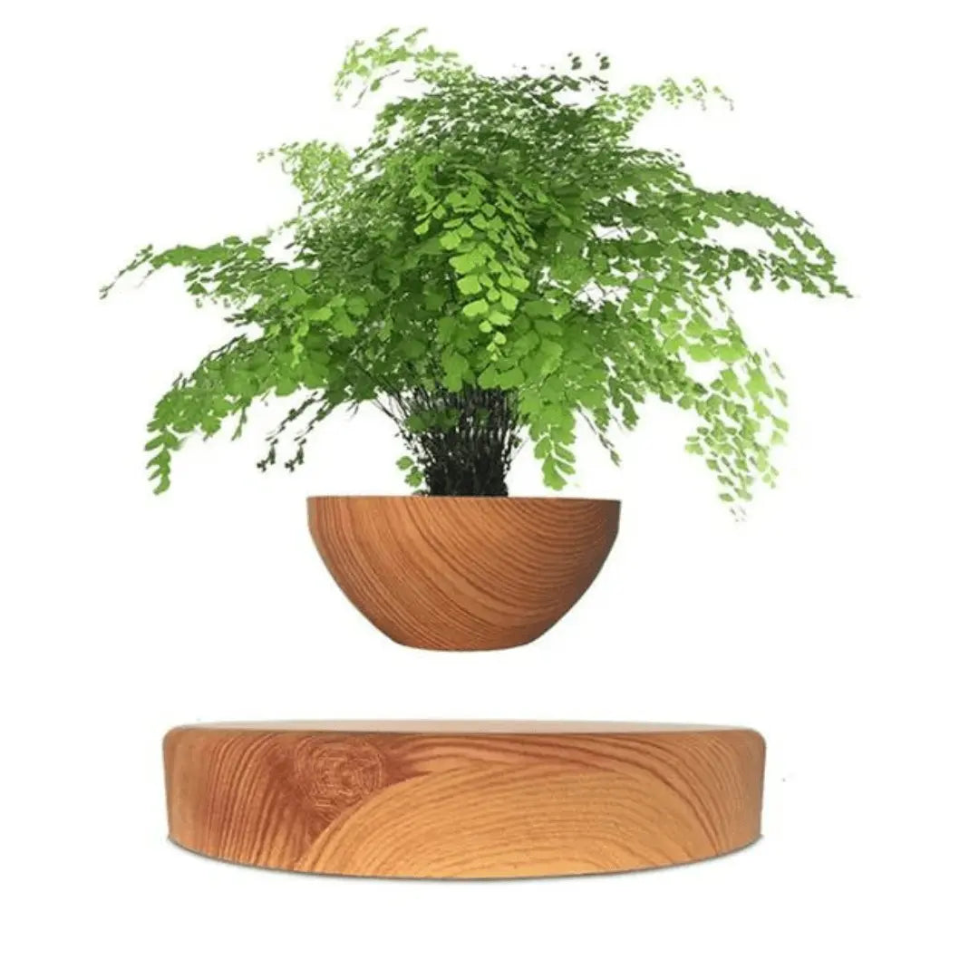 Liva svævende plantestander med magnetisk levitation