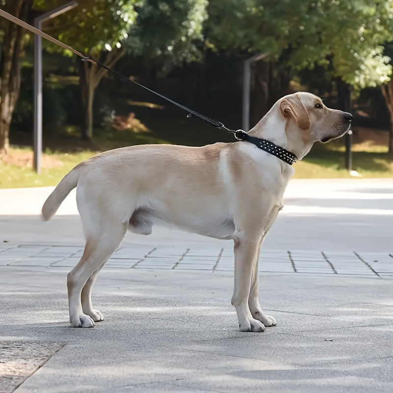 Justerbart hundehalsbånd med spidser - Stærkt og sikkert til store hunde