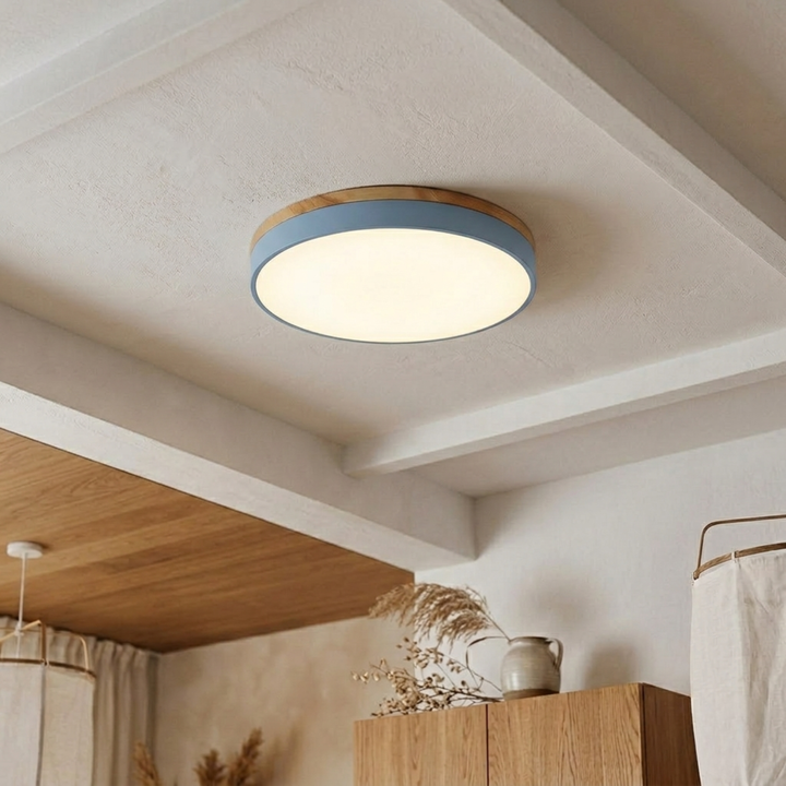 Rund skive-loftlampe – flad, indbygget lampe