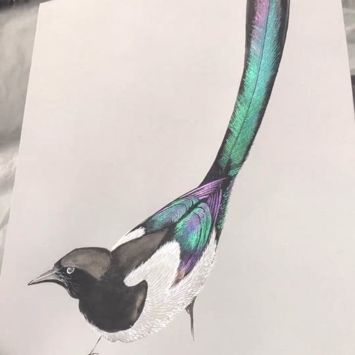 Akvarelfarvesæt i mange farver - ColorCrafter