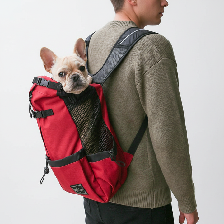 Ergonomisk bærerygsæk til hunde - CompanionPack