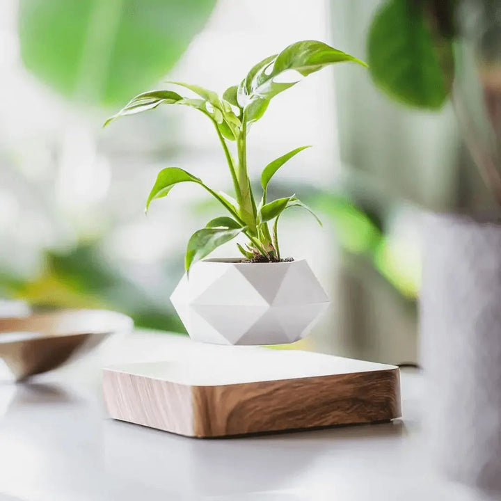 Liva svævende plantestander med magnetisk levitation