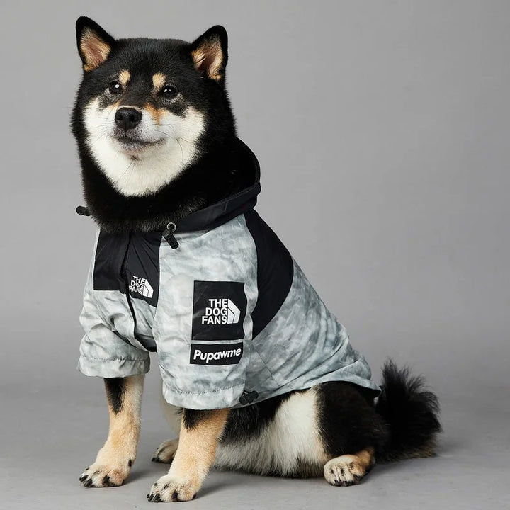 PawDry vandtæt hundejakke | Let vindtæt jakke til fransk bulldog, chihuahua og andre