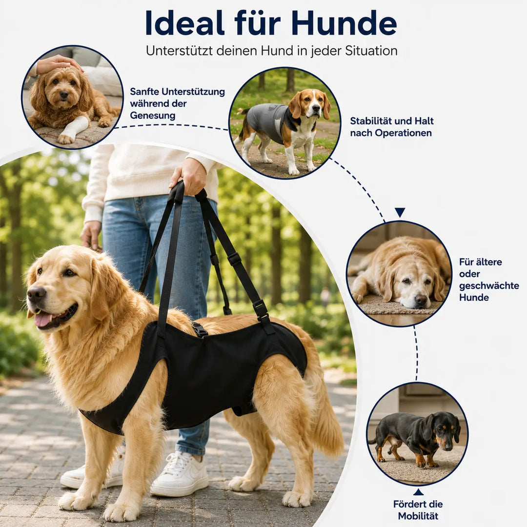 Hundeløfteslæde | Bæresele til store hunde | Hverdagens mobilitetshjælp