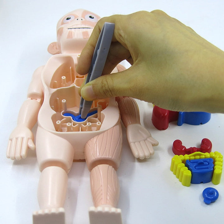 Pædagogisk anatomisæt til børn – Dr. Bones