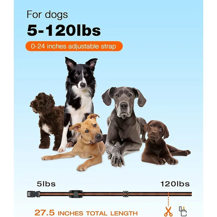 NovaPace hundetræningshalsbånd med 1000 m rækkevidde, vandtæt