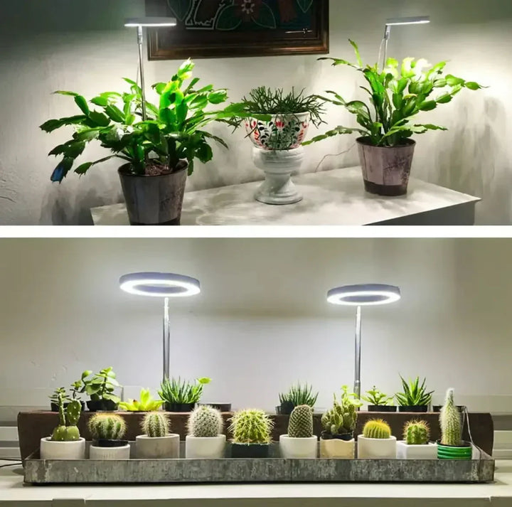 LED-planteslampe med fuldt spektrum og timer- og dæmpningsfunktion