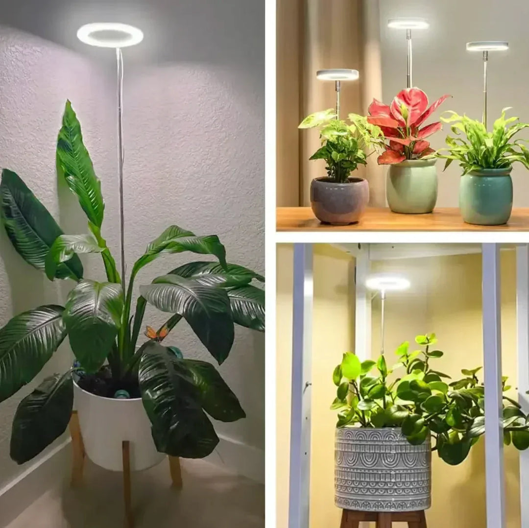 LED-planteslampe med fuldt spektrum og timer- og dæmpningsfunktion