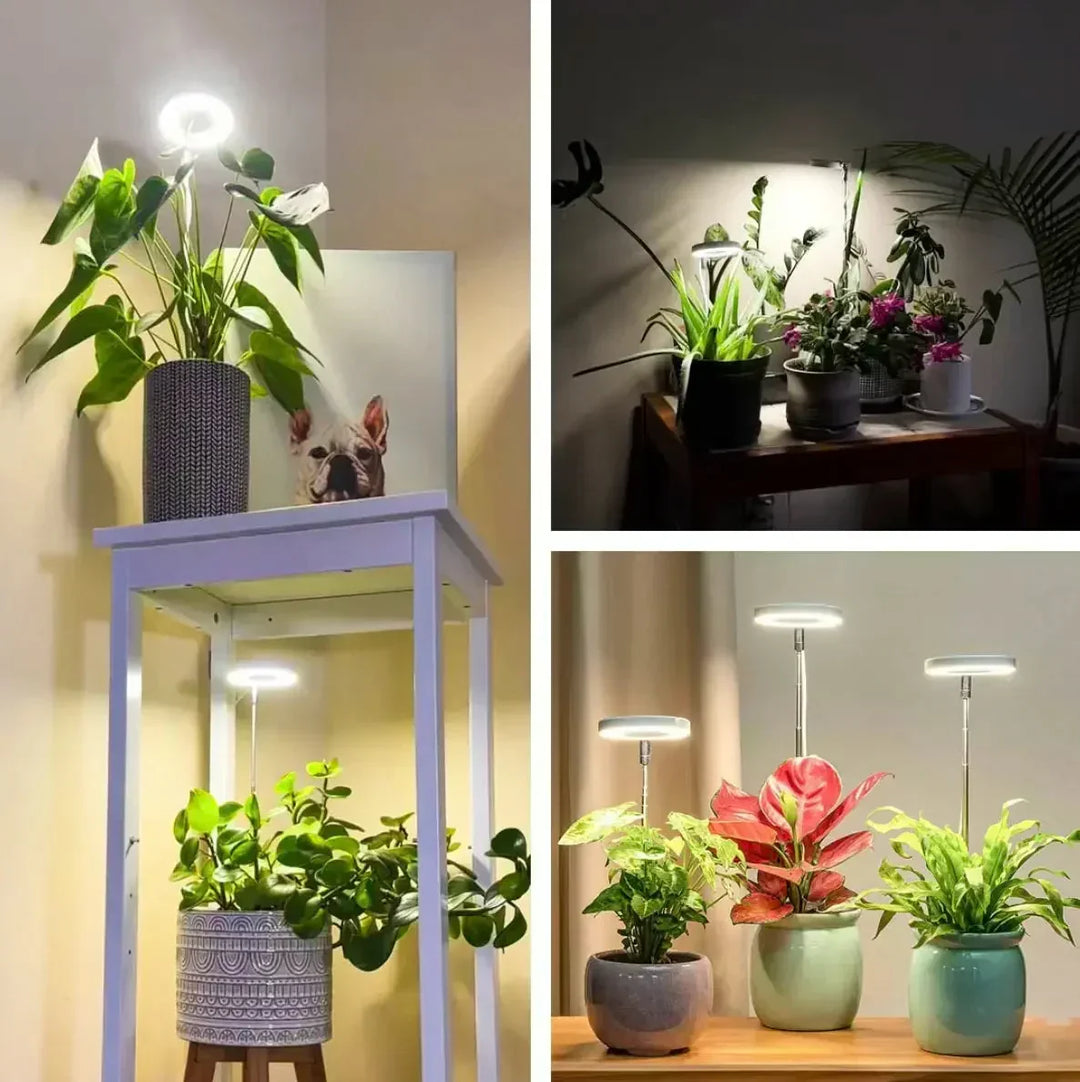 LED-planteslampe med fuldt spektrum og timer- og dæmpningsfunktion