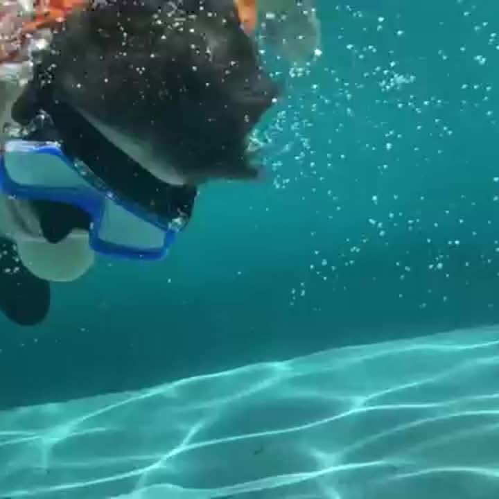 AquaClear snorkelsæt – vandtæt, komfortabelt og med god udsigt
