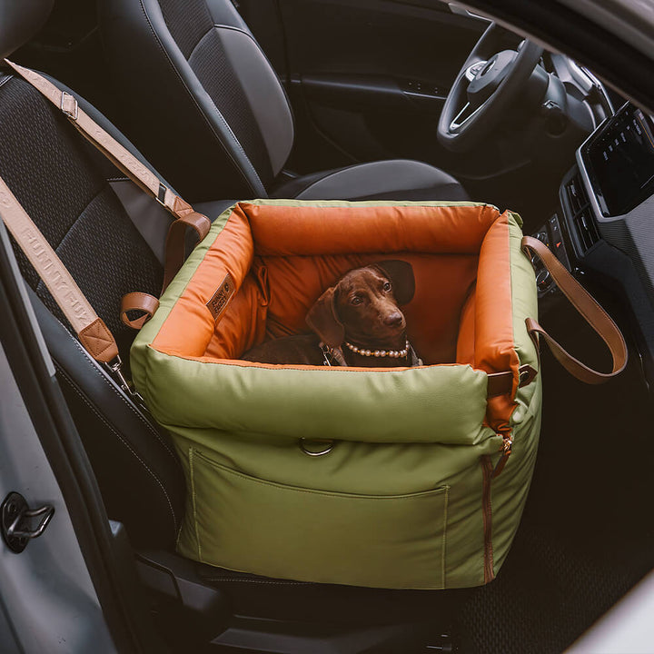 Komfortabel vinter-hundesele til bilen - PawLuxury