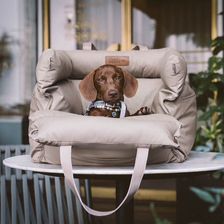 Komfortabel vinter-hundesele til bilen - PawLuxury