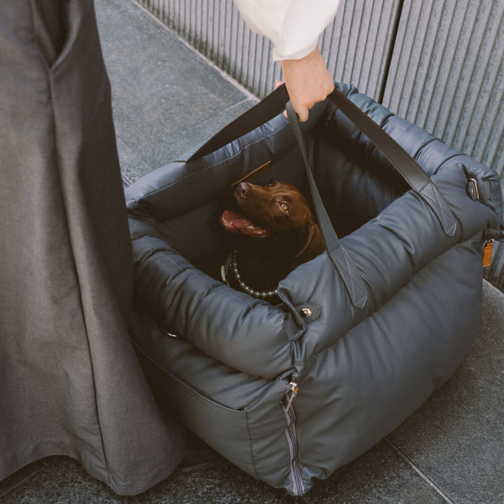 Komfortabel vinter-hundesele til bilen - PawLuxury