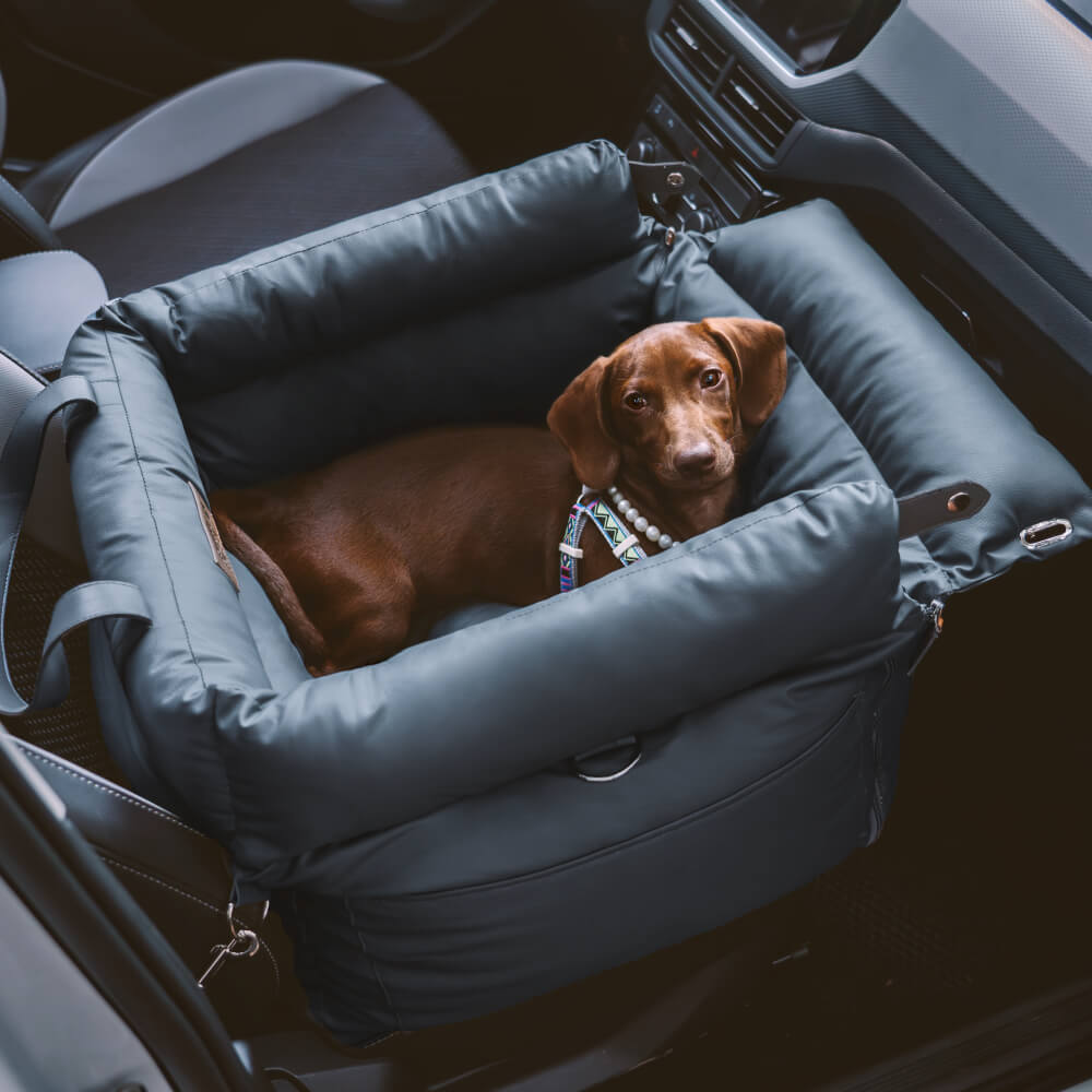 Komfortabel vinter-hundesele til bilen - PawLuxury