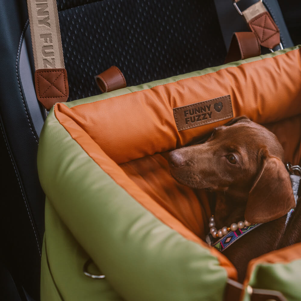 Komfortabel vinter-hundesele til bilen - PawLuxury