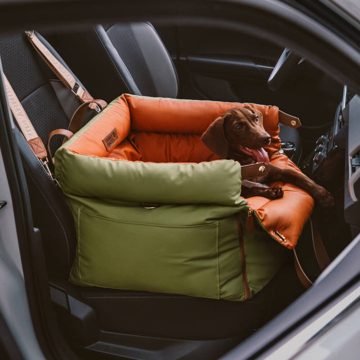 Komfortabel vinter-hundesele til bilen - PawLuxury