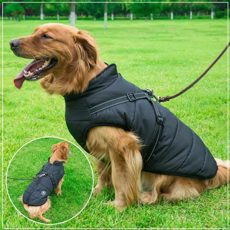 PupGuard - Vinterjakke til hunde med sele