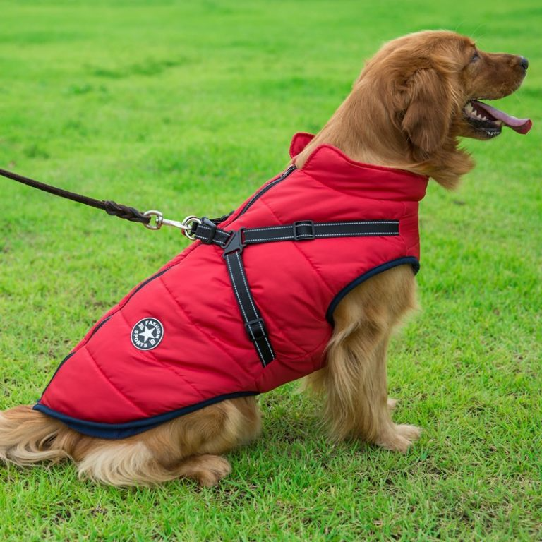 PupGuard - Vinterjakke til hunde med sele