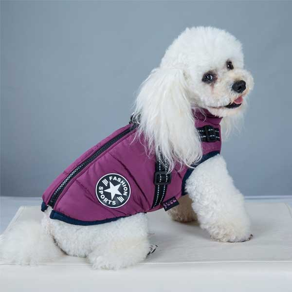 PupGuard - Vinterjakke til hunde med sele