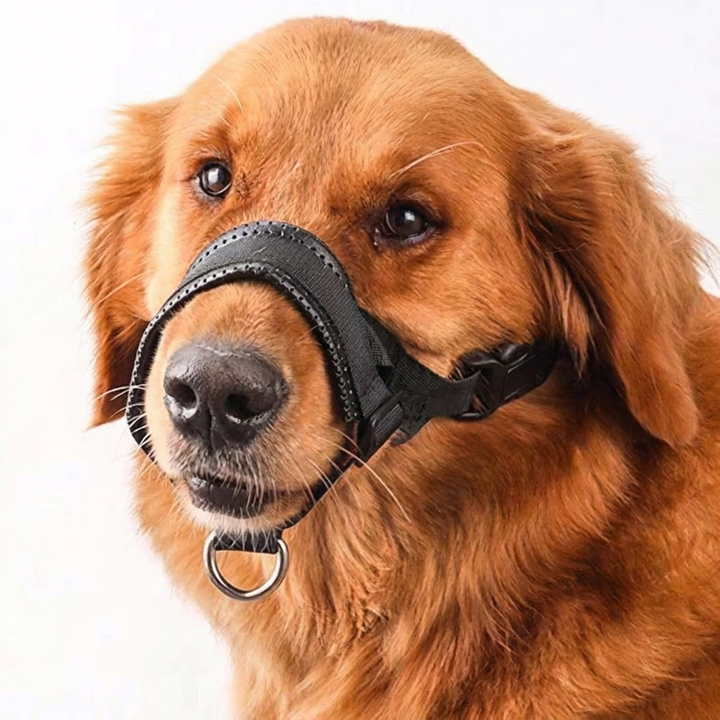 Sikkert Justerbart Kontrol Hundemundbind