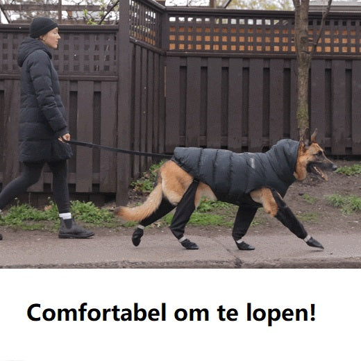 Sikre udendørs eventyrstøvler – PawShield