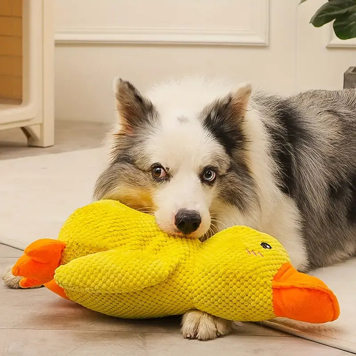 Interaktivt Hundelegetøj med Lyd og Tandpleje - FlappyDuck
