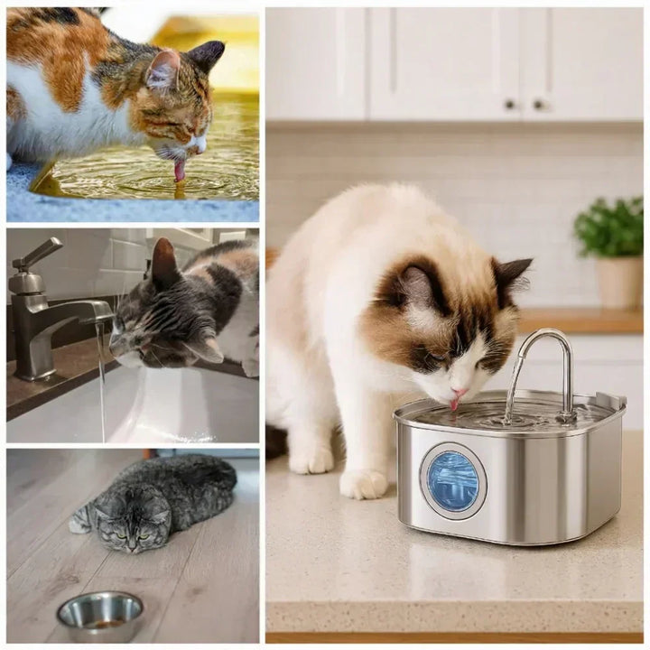 SereneFlow drikkefontæne til kæledyr i veterinær kvalitet til støjsvag drift og nem rengøring