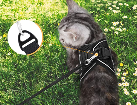 Sele til katte med line - Sikkerhed og komfort til eventyr
