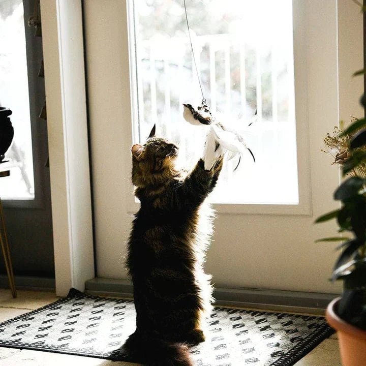 Interaktivt legetøj til katte - FlutterFriend