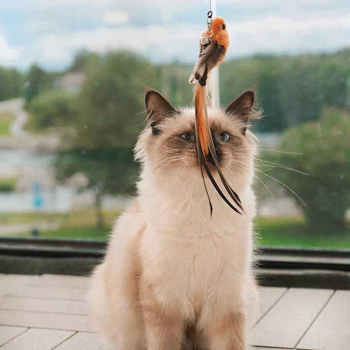 Interaktivt legetøj til katte - FlutterFriend
