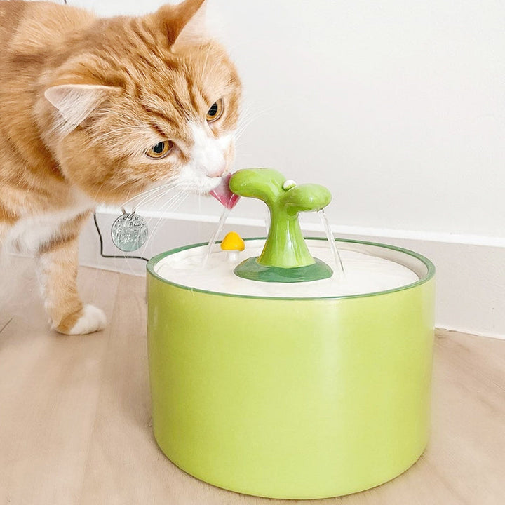 Kattefontæne – SpringFlow