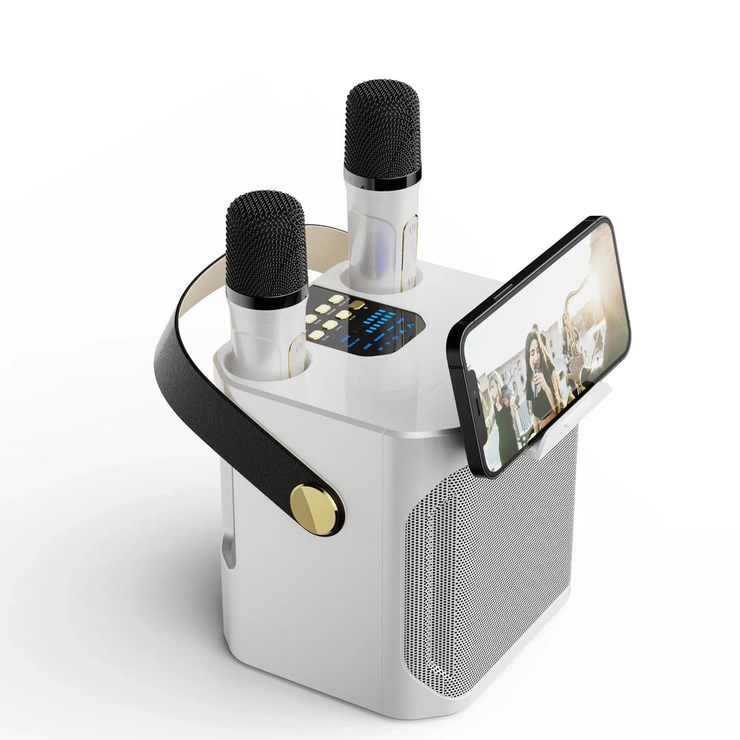Kraftfuld bærbar karaoke-højttaler med Bluetooth - 360° surround