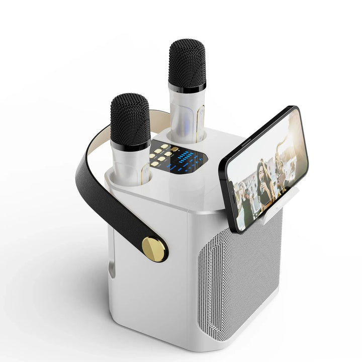 Kraftfuld bærbar karaoke-højttaler med Bluetooth - 360° surround